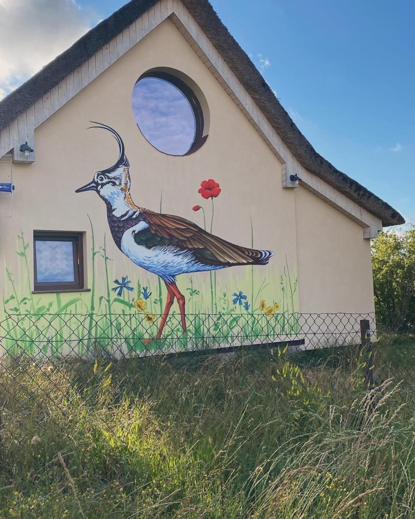 Ptasia Osada Gardna Wielka Exterior foto